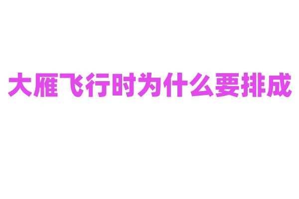大雁飞行时为什么要排成 “人” 字或 “一” 字形？